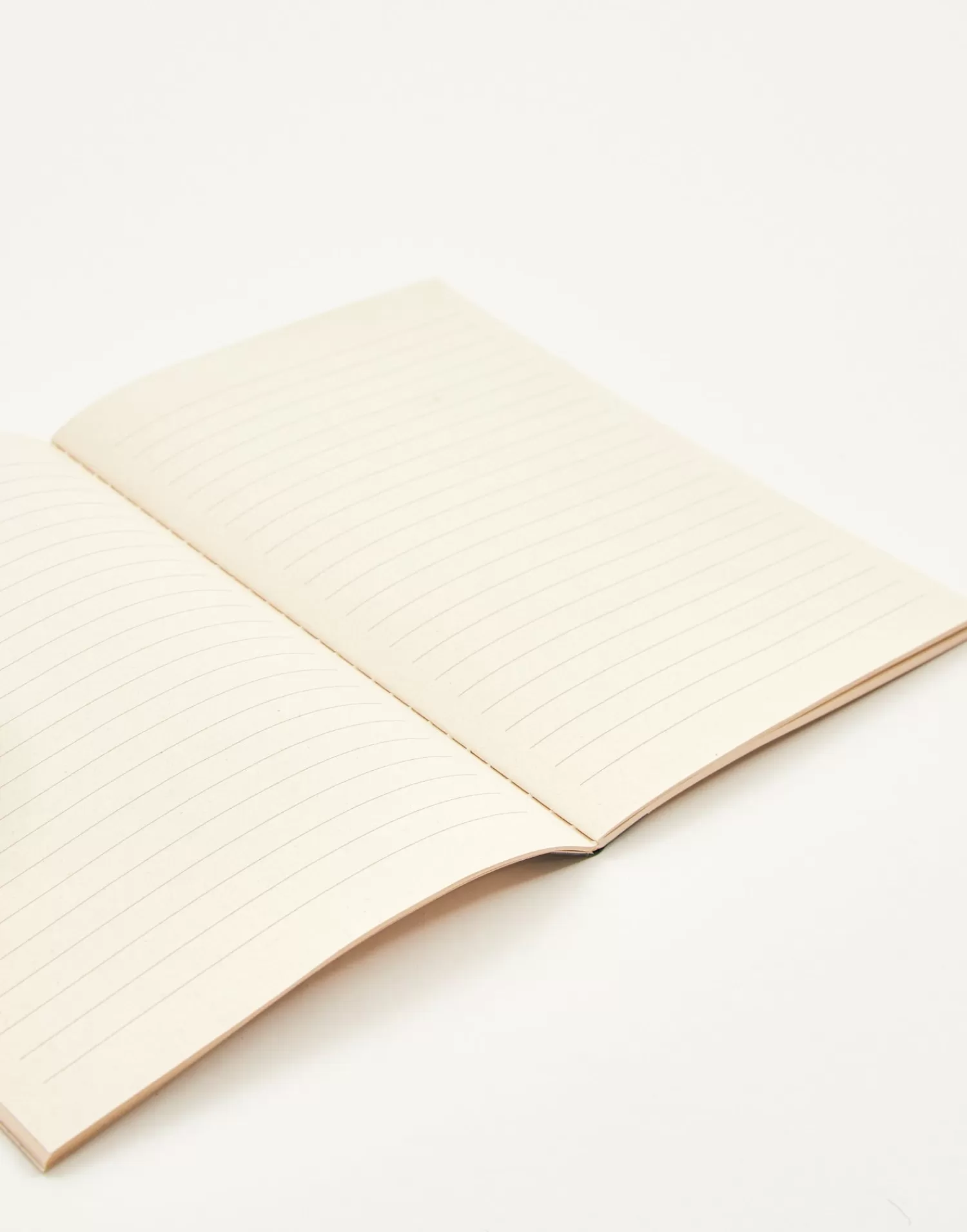 Stationery*Natura Selection A5 Notebook With Colored Spine