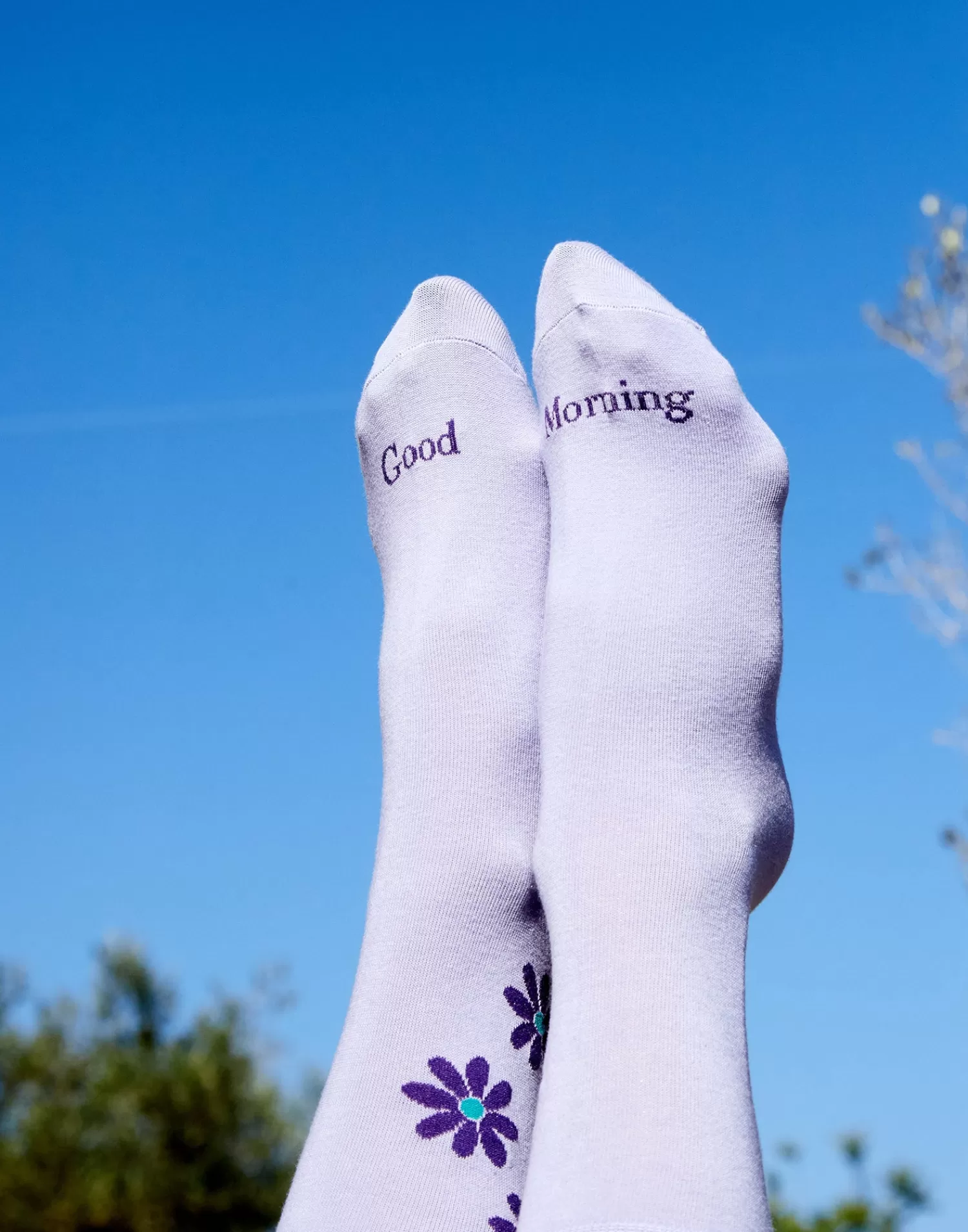Socks*Natura Selection Daisy Socks