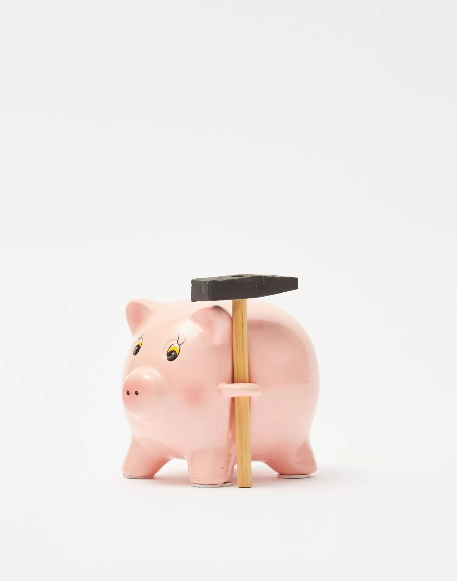 Games*Natura Selection Piggy Bank With Hammer
