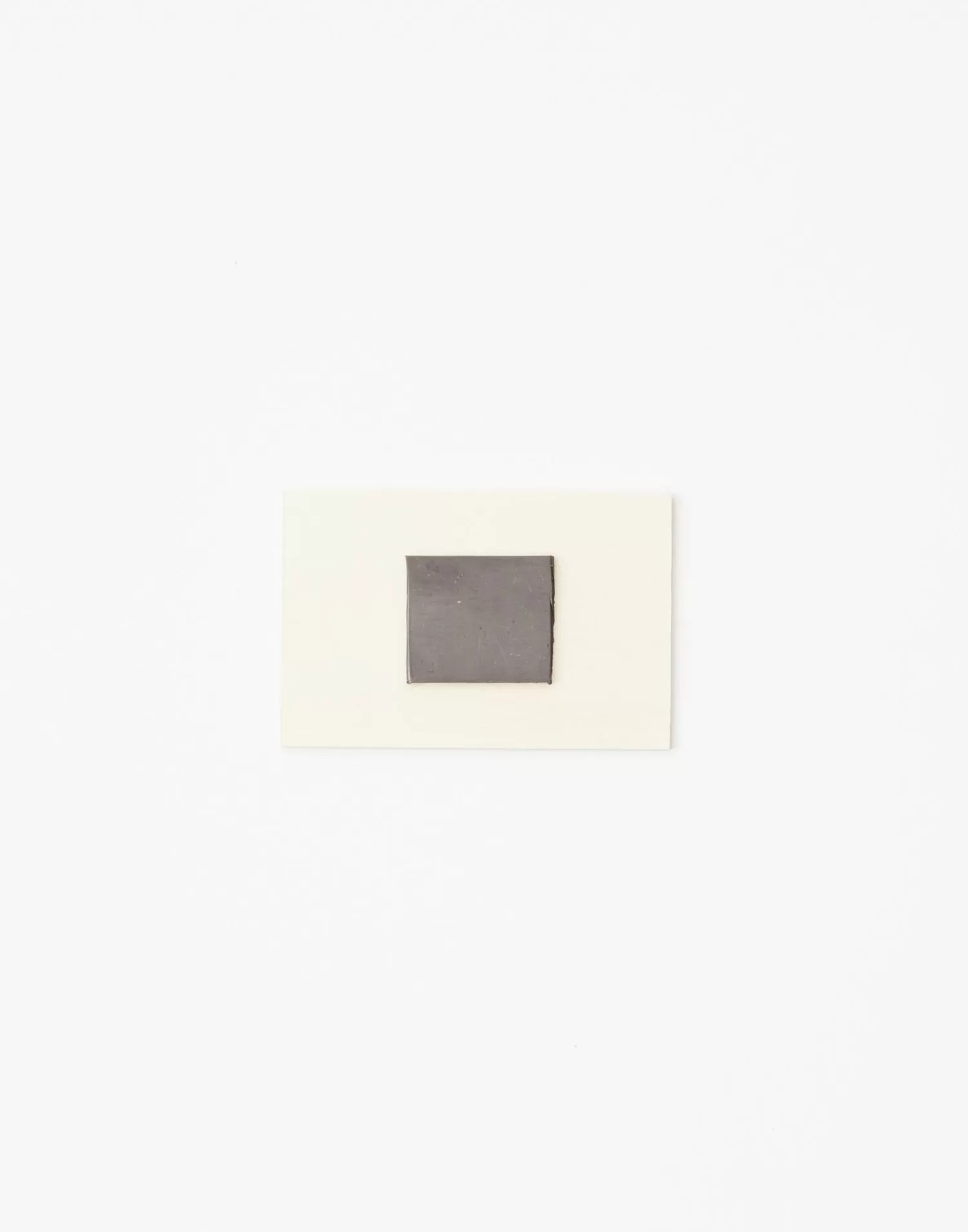 Stationery*Natura Selection Wooden Magnet